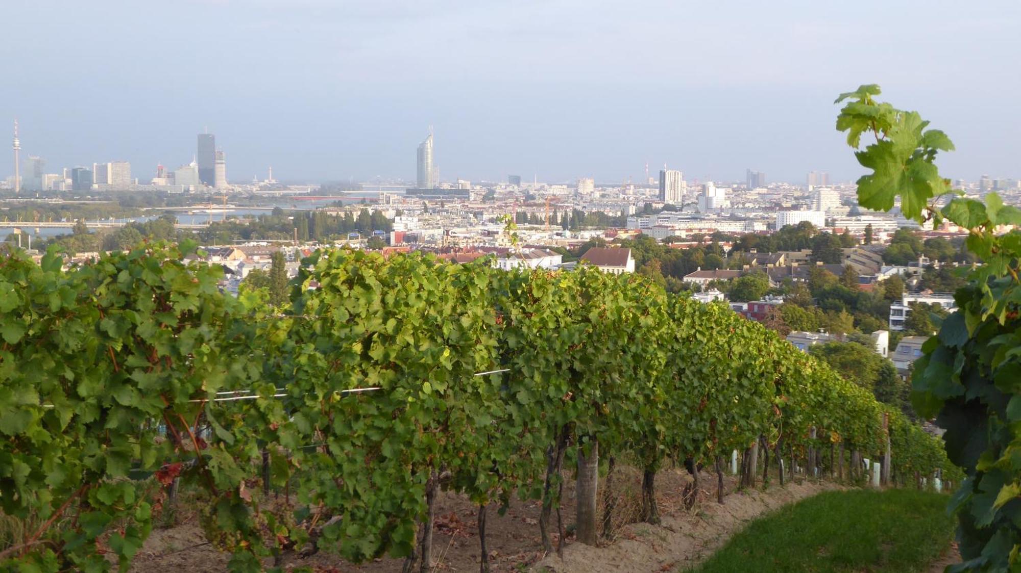 Wohnen Im Schoensten Viertel Wiens Viena Exterior foto